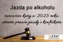 Jazda konna po alkoholu: Czy to legalne? Kary i zagrożenia
