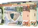 Różne banknoty botwańskiej waluty, Pula, z wizerunkiem zebry i godłem.