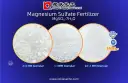 Trzy zbliżenia kryształków siarczanu magnezu o różnej granulacji: 2-4 mm, 1-3 mm i 0.1-1 mm.