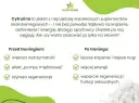 Cytrulina przed treningiem: pompa, siła i regeneracja jak to działa?