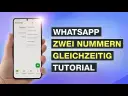 Zwei WhatsApp-Konten auf Dual-SIM: Privat & Beruf einfach trennen
