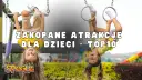 Zakopane z dziećmi: Niezapomniane atrakcje na każdą pogodę!