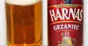 Gdzie kupić Harnaś Grzaniec? Sezon, cena, gdzie szukać