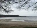 Plaża nad jeziorem, z widokiem na las. W oddali widać słupy, być może pozostałości po dawnej infrastrukturze pola namiotowego Anastazewo.