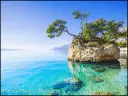 Kamień Brela, Chorwacja - symbol Dalmacji, gdzie leży, zachwyca turkusową wodą i malowniczą skałą z drzewem.