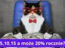 Kot w okularach i muszce siedzi za stosem dolarów. Czy można zarobić na funduszach inwestycyjnych 5, 10, 15, a może 20% rocznie?