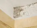 Widoczna wilgoć w łazience, pleśń i grzyb na suficie i ścianie w rogu.