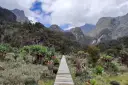 Drewniana ścieżka prowadzi przez bujną roślinność do majestatycznych gór księżycowych.