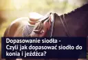 Jak dobrać siodło do konia? Poradnik: zdrowie i komfort!
