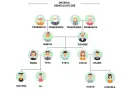 Drzewo genealogiczne definicja dla dzieci: pokazuje, jak rodzina jest ze sobą połączona, od pradziadków po wnuki.
