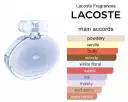 Welches Parfum ist ähnlich wie Lacoste Pour Femme? Top Dupes!