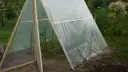 Prosty tunel foliowy z drewnianymi pałąkami, chroniący młode rośliny.