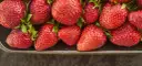 Truskawki świeże do 7 dni? Sprawdź, jak je przechowywać w lodówce!
