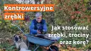 Kora czy zrębki - co lepsze do ogrodu? Odkryj kluczowe różnice