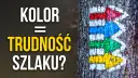Kolorowe strzałki szlaków turystycznych namalowane na korze drzewa.