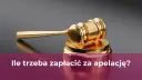 Apelacja: Czy warto? Szanse, ryzyka i koszty odwołania od wyroku
