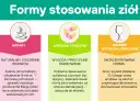 Jakie zioła obniżą ciśnienie? Top 7 roślin dla Twojego serca