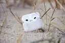 Weiße AirPods im geöffneten Ladecase liegen im Sand, umgeben von Gräsern.