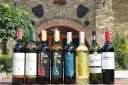 Wybierasz jakie wino na wesele? Rząd butelek z winem czerwonym i białym przed starą winnicą.