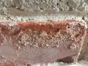 Widoczna biała pleśń na ścianie, która pokrywa cegłę i zaprawę.