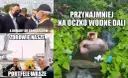 Oczko Wodne Mem: Geneza, Humor i Dlaczego Wciąż Bawi?