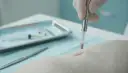 Zabieg kastracji chemicznej psa. Weterynarz w rękawiczce wprowadza implant pod skórę zwierzęcia.