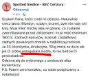 Co to jest mongolskie siodło? Niezwykła historia i budowa