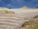 Piaszczyste wydmy porośnięte trawą pod ciemnym, burzowym niebem.