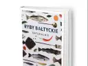 Ryby Bałtyku: Kompletny przewodnik. Co jeść, a czego unikać?