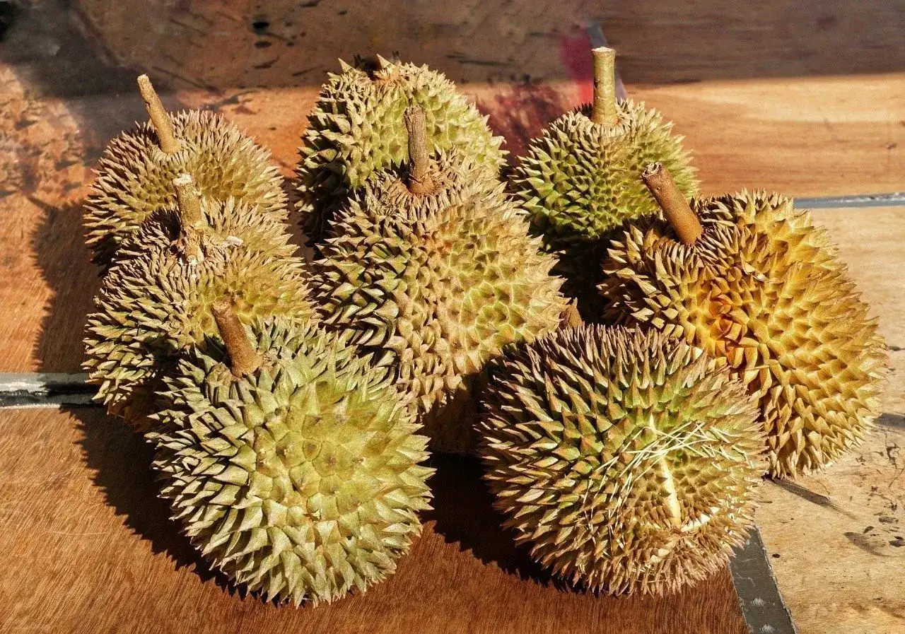 Durian - śmierdzący owoc czy zdrowy deser? Kalorie i wartości
