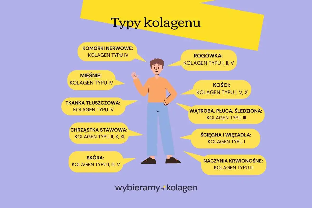 Typy kolagenu - gdzie występują i za co odpowiadają?