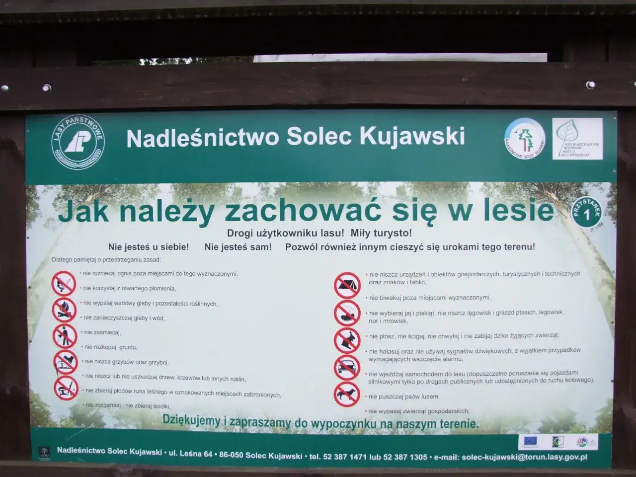 Mapa dróg leśnych i polnych - jak planować dojazd do atrakcji