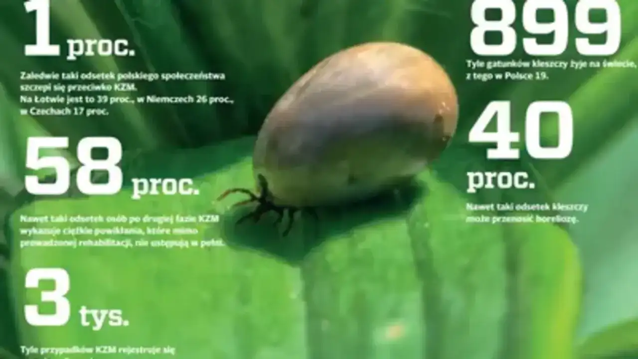 Kleszczowe zapalenie mózgu - objawy, szczepienie, ryzyko w Polsce