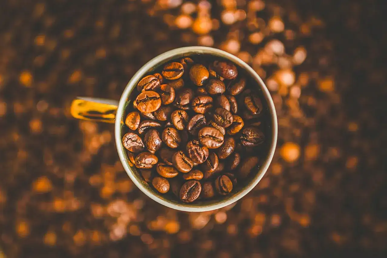 Kaffe och koffein - Så påverkar det dig och din sömn