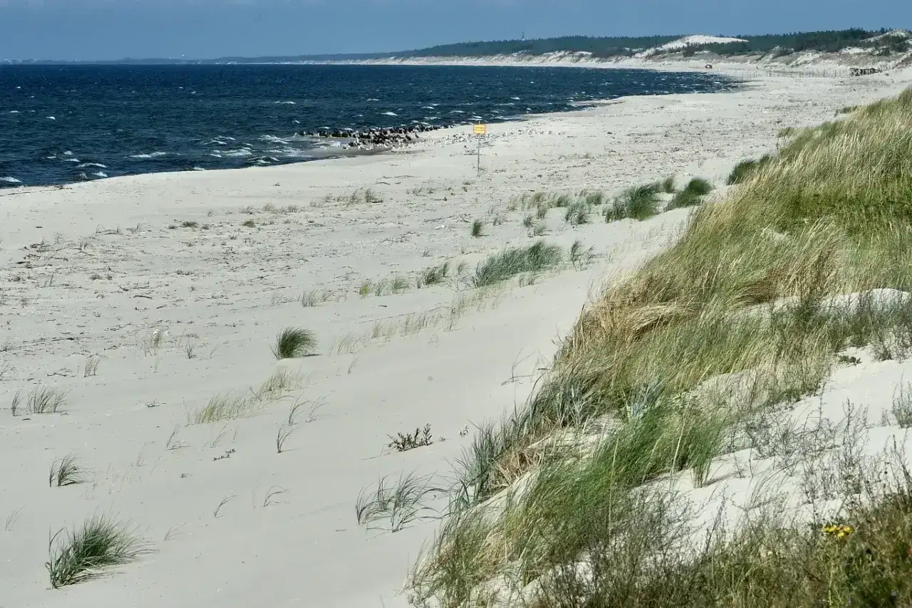 Piaski nad morzem - Spokojna plaża na Mierzei Wiślanej?