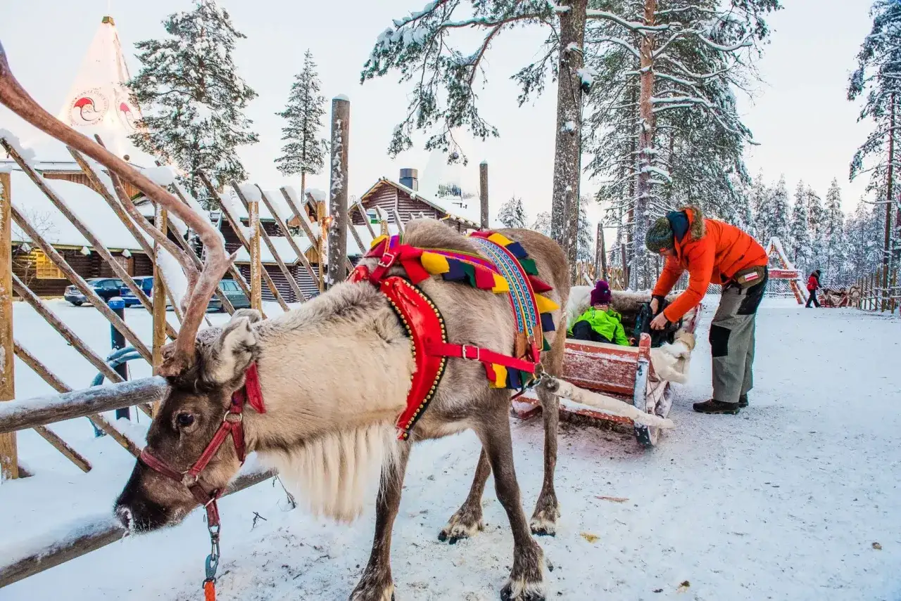 Rovaniemi - Stolica Laponii? Planuj podróż bez błędów!