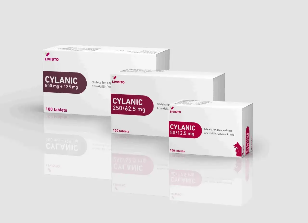 Cylanic dla psa - Antybiotyk czy trucizna? Sprawdź, co leczy!