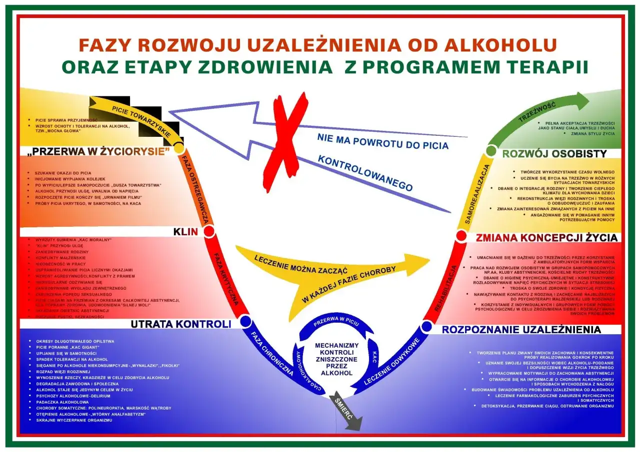 Terapia alkoholowa online - Czy to działa? Sprawdź!