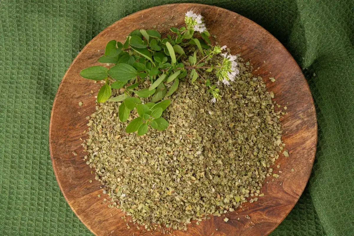 Maggiorana in cucina - Usala bene, evita errori e valorizza i piatti