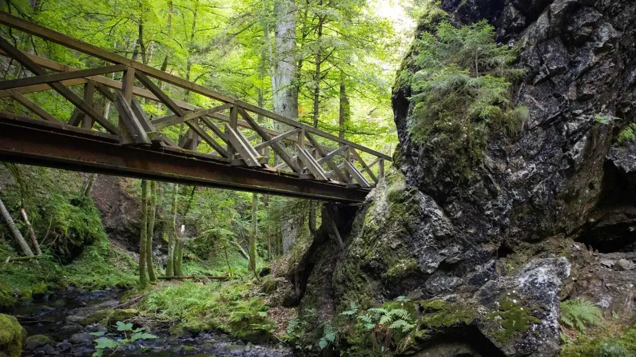 Ravennaschlucht wandern - Route, Tipps und worauf du achten solltest