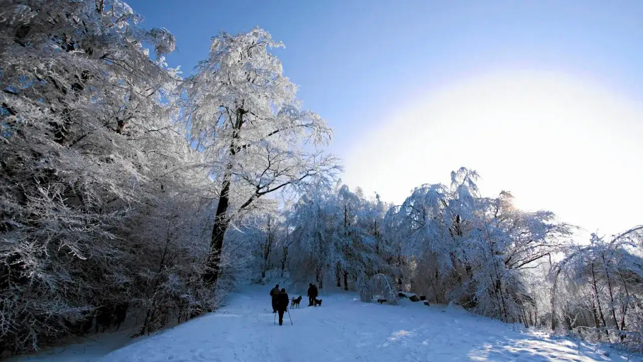 Beskid Śląski zimą - gdzie iść na szczyt, narty i biegówki