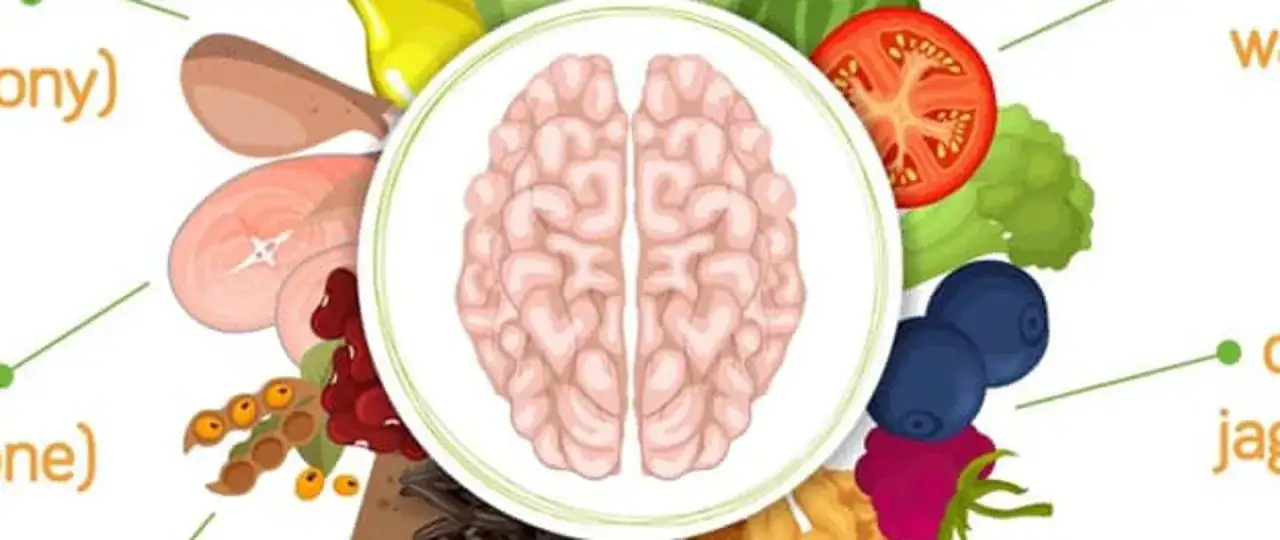 Dieta MIND w praktyce – jedz dla mózgu i lepszej pamięci!