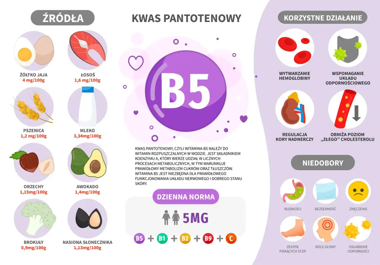 Kwas pantotenowy (B5) - Prawda o działaniu i suplementacji
