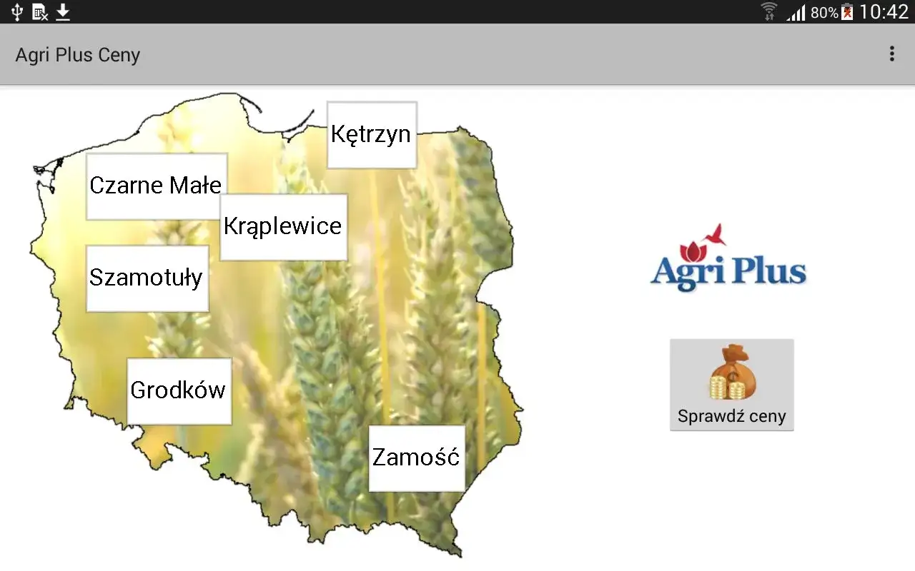 Agri Plus cennik zbóż - Jak czytać stawki i zarobić więcej?