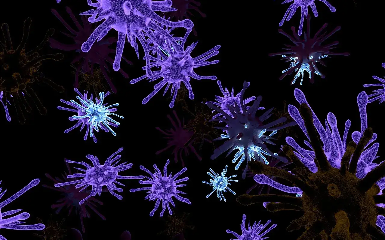 Cytomegalia w ciąży i nie tylko. Jak czytać IgG i IgM?