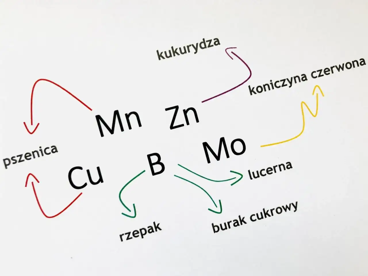 Makro i mikroelementy w nawożeniu - co naprawdę decyduje o plonie?