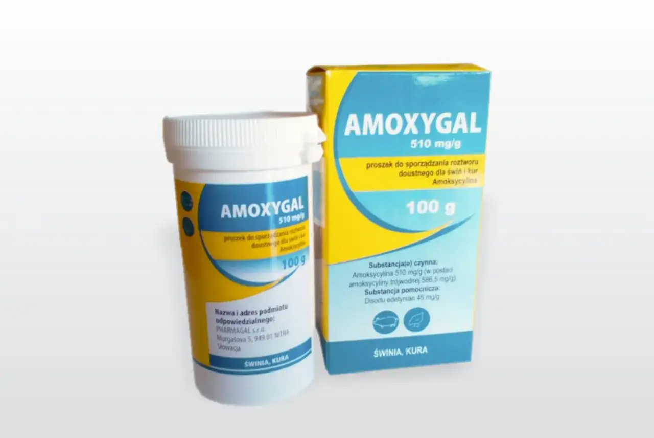 Clamoxyl dla psa i kota - Jak bezpiecznie stosować ten antybiotyk?