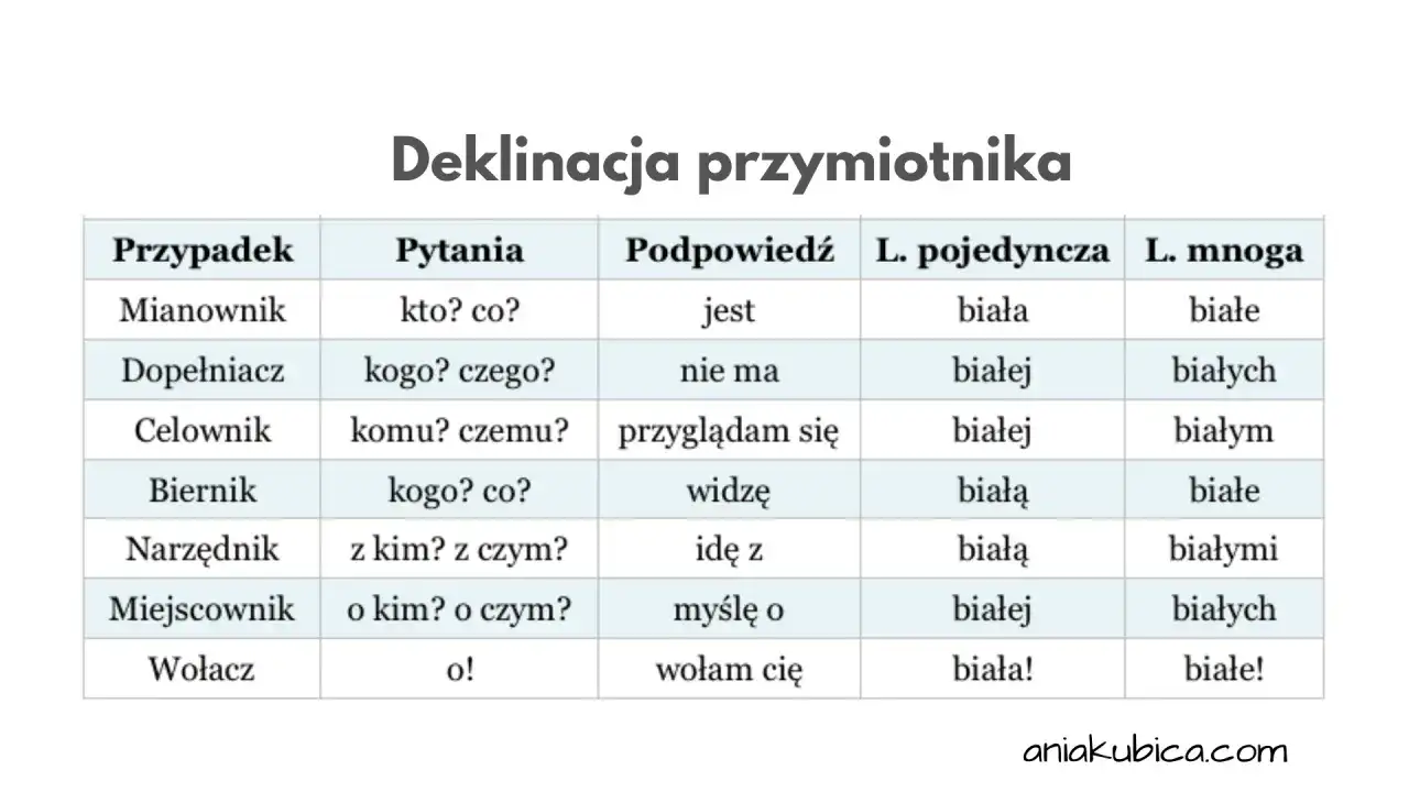 Przymiotnik - na jakie pytania odpowiada i jak go rozpoznać?