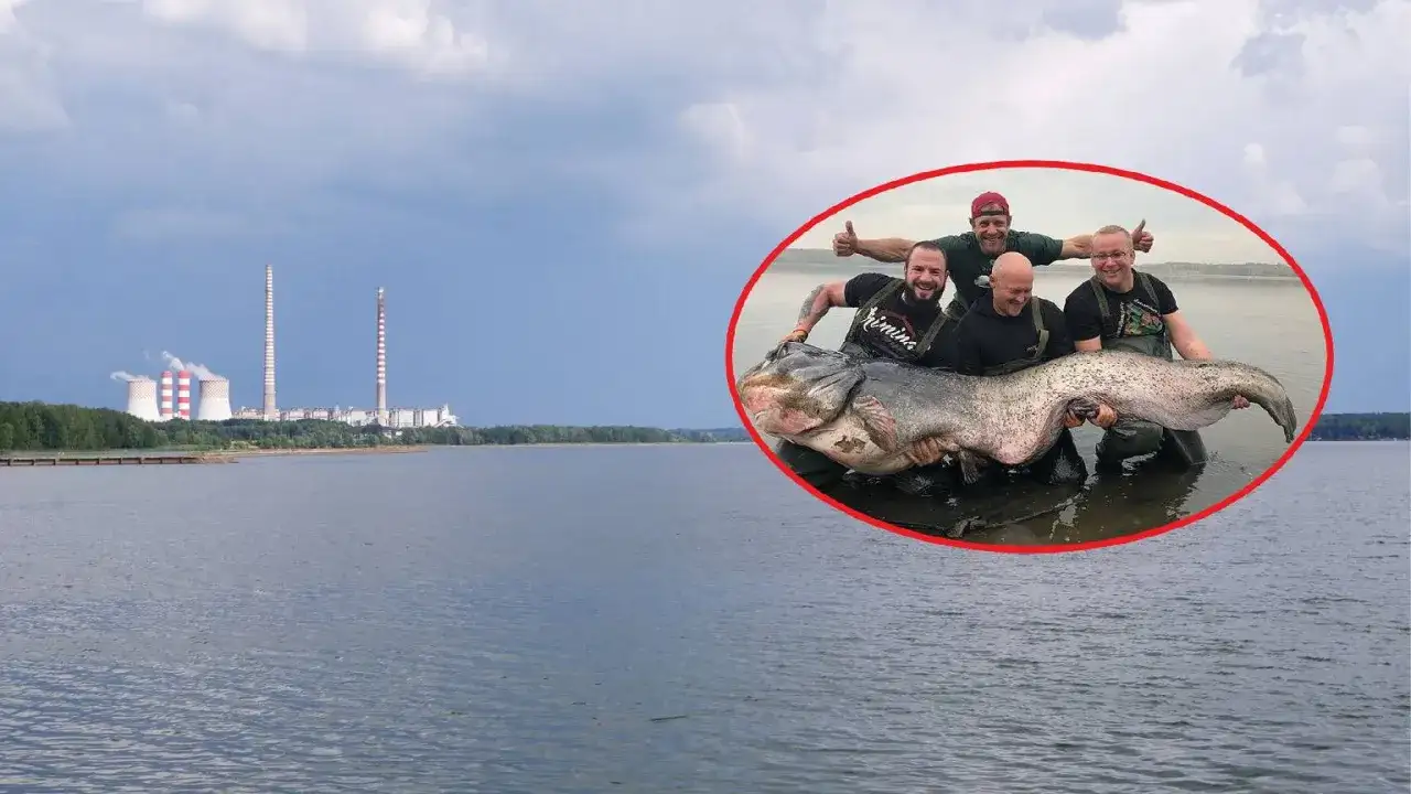 Zalew Porajski wędkarstwo - Gdzie szukać ryb i jak czytać wodę?