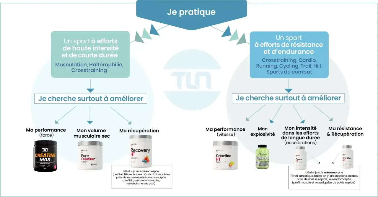 Quand prendre la créatine et quelle dose choisir ?